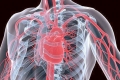 ما لا تعرفه عن القثطرة القلبية