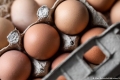 هل يفقد البيض المسلوق قيمته الغذائية بعد تجميده؟