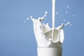 هل يجعل الحليب العظام أقوى بالفعل؟ الطب الحديث لديه رأي خاص