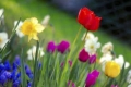 فصل الربيع يبدأ الاربعاء ويستمر 92يوم و18 ساعة و2 دقيقة