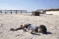 بالصور...جريمة بشعة تسفر عن استشهاد 4 أطفال صغار في سواحل غزة