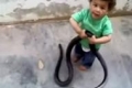 الفيديو: أب يدرب طفلته على الشجاعة بواسطة أفعى