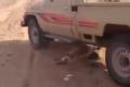 فيديو دهس متعمد لكلب في السعودية يسفر عن حملة استنكار عالمية