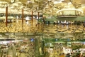 مطار &quot;تشانغي&quot; بسنغافورة الأفضل في العالم للعام السادس على التوالي