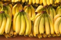 الموز قد ينقرض قريبا وقد حدث ذلك من قبل