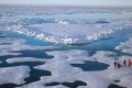 متى سيفقد القطب الشمالي ستاره الجليدي؟