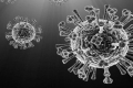 لقاح جديد واعد قد يعتمد عالمياً لعلاج الانفلونزا