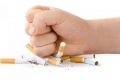 حقائق مرعبة عن تعاطى التبغ فى اليوم العالمى لمكافحة التدخين