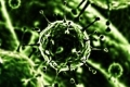 فيروس يفيق من سباته بعد 30 الف سنة ومخاوف من قدرته الفتاكة