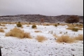 بالصور: العواصف البردية الثلجية تتساقط على الحدود الشمالية السعودية