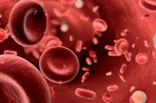 بماذا يشعر مريض سرطان الدم؟