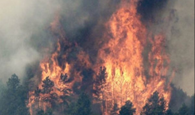 فرار الآلاف من حرائق الغابات بكولورادو الأمريكية