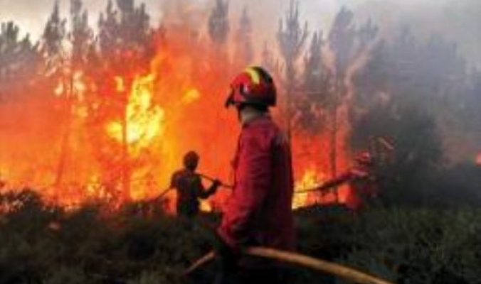 حرائق الغابات في البرتغال تقتل رجلا وتدمر عددا من المباني