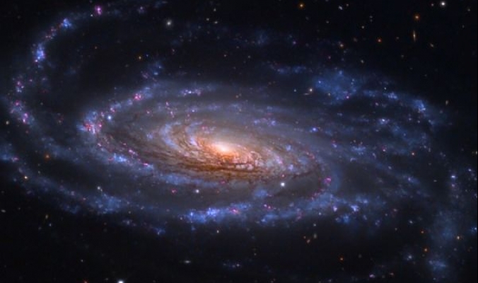 صورة غاية في الوضوح للمجرة الحلزونية التي تبعد 40 مليون سنة ضوئية عنا