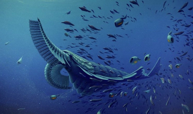 أكتشاف أكبر كائن بحري يعود للعصر الكمبري
