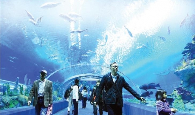 الصين تفتتح أكبر متحف مائي في العالم