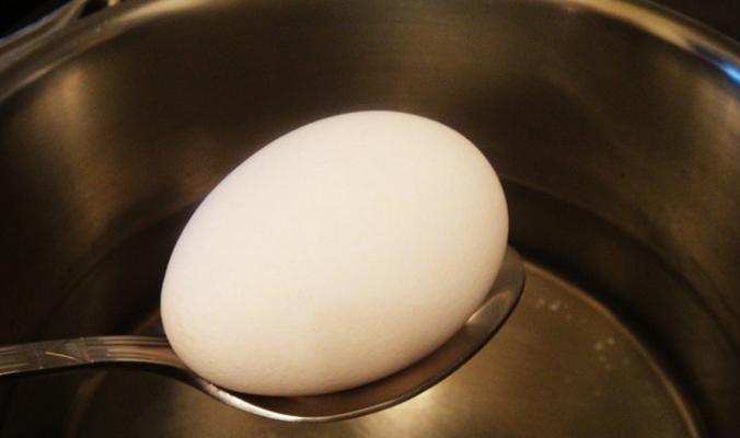 علماء يعيدون بيضة مسلوقة إلى وضعها الابتدائي