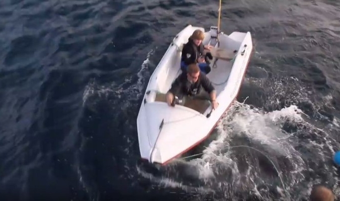 لحظات مرعبة لهجوم قرش ابيض على قارب صغير (فيديو)