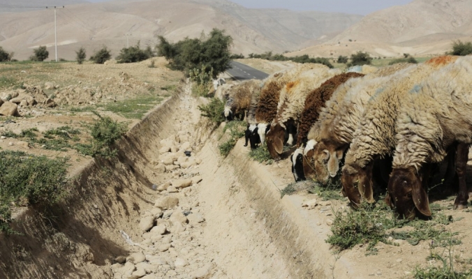 الجفاف في فلسطين وسائر بلاد الشام يعتبر الأشد منذ نحو تسعة قرون وملايين الأفراد في الساحل الفلسطيني مهددون من ارتفاع مستويات البحر