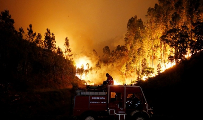 شاهد صوراً رهيبة ومخيفة لحريق البرتغال المأساوي