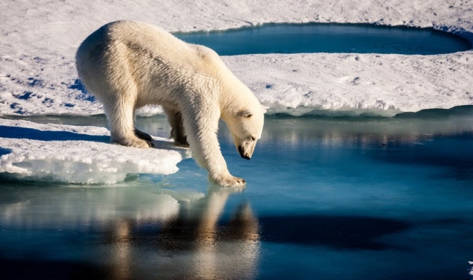 كيف أصبحت مياه المحيط القطبي الشمالي مالحة
