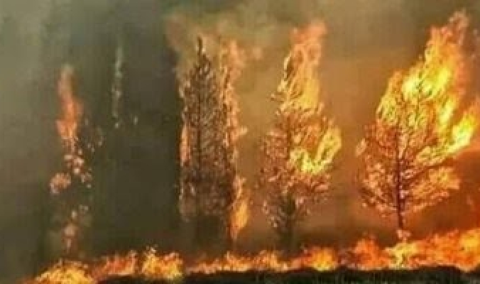 لبنان تحترق.. ذعر بين اللبنانيين بسبب حرائق الغابات وطوارئ للسيطرة عليها