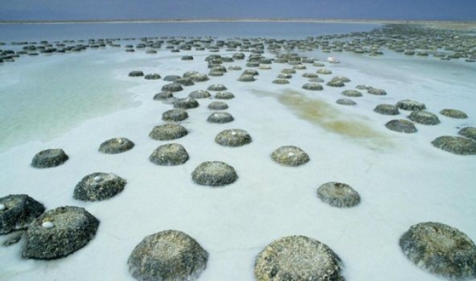 إن كنت تظن انه البحر الميت فأنت حقاً مخطئ... ما هي إذاً أكثر مناطق العالم ملوحة؟