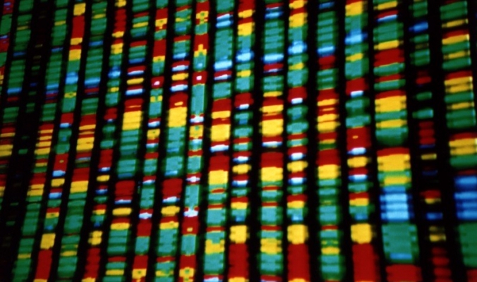 الجيل الرابع من أدوات التعديل الجيني قد يحل محلّ أداة كريسبر