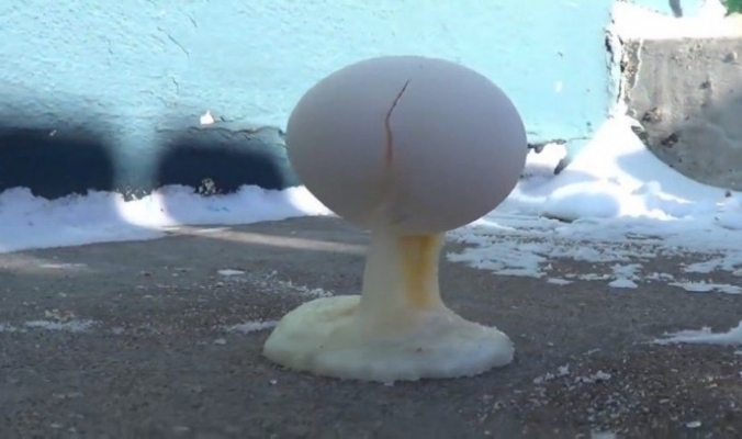 بالفيديو: هذا ما سيحصل عند فقس بيضة في البرد القارس!