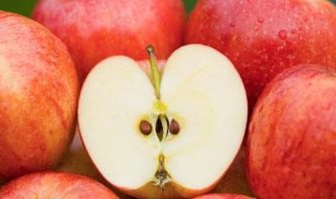 التفاح والبصل من المأكولات ذات السعرات الحرارية السالبة