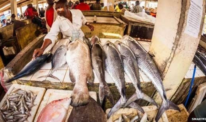 صيد السمك بالمتفجرات في تنزانيا يدمر البيئة البحرية