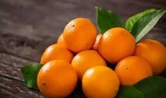 &quot;ملك الحمضيات&quot; يحافظ على القلب ويقي من السرطان... ماذا تعرف عن فوائد البرتقال؟