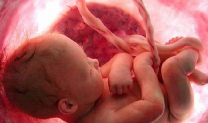 10 معلومات مذهلة عن الجنين في بطن أمه