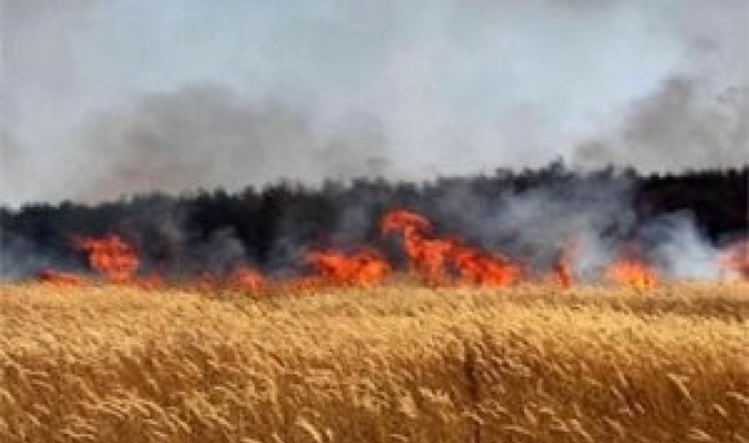 حريق يلتهم مساحات واسعة من الأحراش والأراضي الزراعية بنابلس