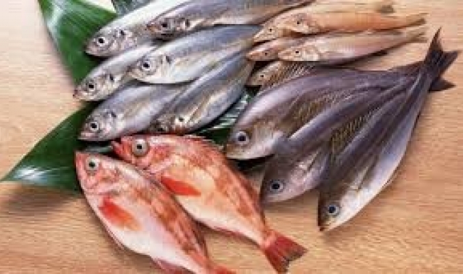 كيف يتم غش السمك؟ وكيف تشتريه؟