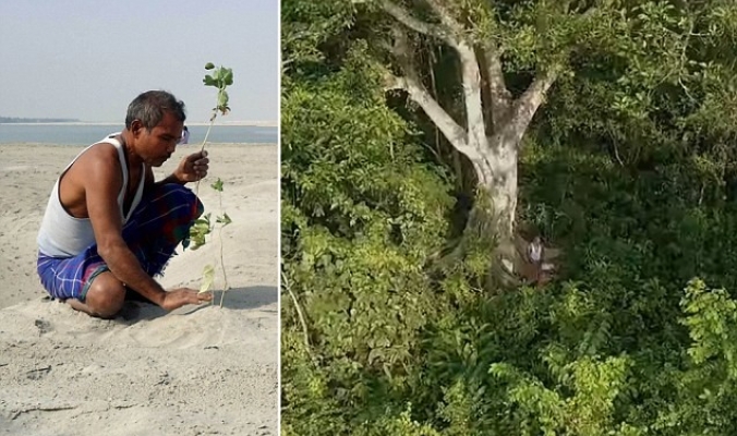 بالصور| “رجل الغابات في الهند”.. حول جزيرة هندية مقفرة إلى غابة خصبة أصبحت موطنا للنمور والفيلة