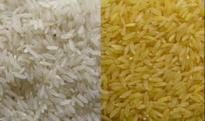 ارتفاع سعر الأرز إلى 125 شيقل للكيس