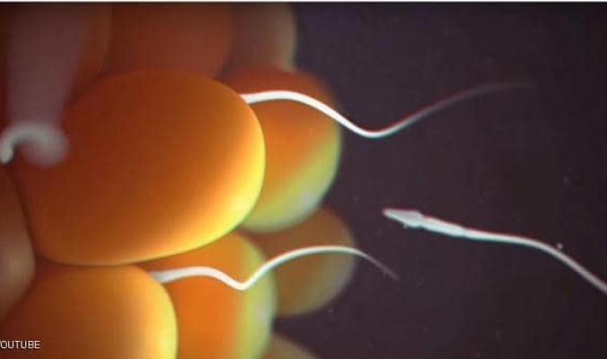 الكشف عن سر تحديد جنس الجنين في السائل المنوي لأول مرة