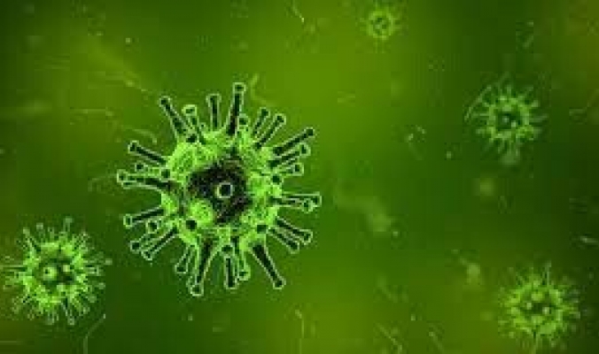 ما هي الفيروسات؟ وكيف اكتشفت؟