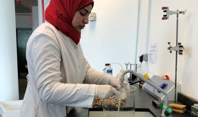 علماء مصريون: صناعة بلاستيك بيئي من قشور الجمبري