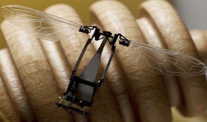 روبوتات نانوية قد تحل محل الحشرات