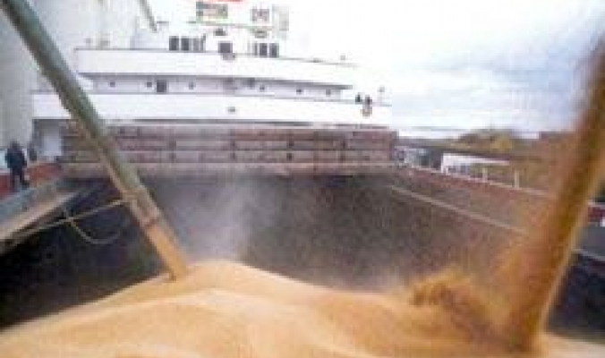 مجلس الحبوب الأمريكي: ”شحنات الحبوب الأوكرانية الموجهة للجزائر تجابه صعوبات بصورة متزايدة”
