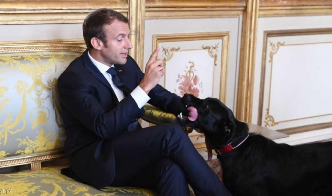 كلب الرئيس الفرنسي &quot;فعلها&quot; في صالون الإليزيه