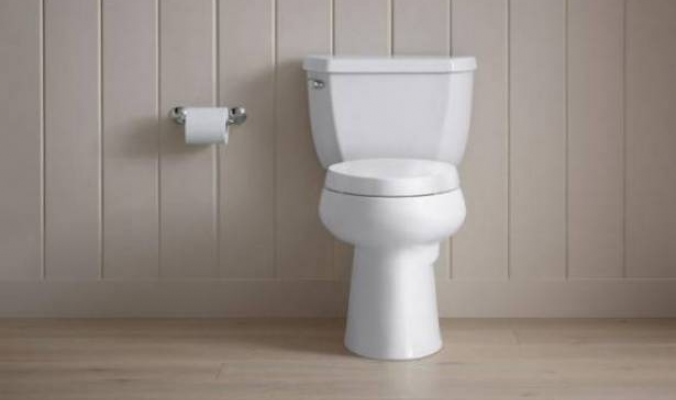 هل تساءلت من قبل مَن اخترع الحمام؟