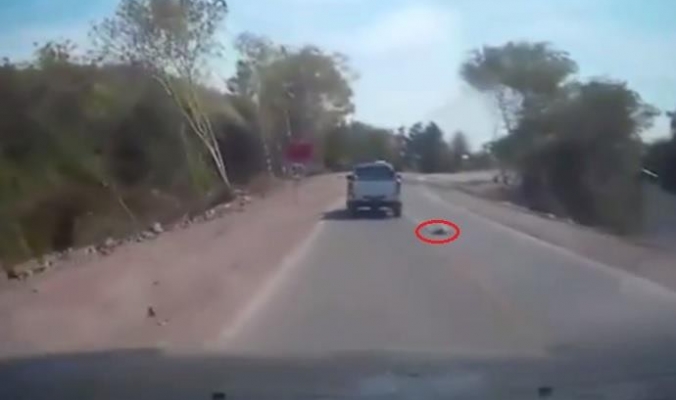 بالفيديو.. حادث مروع.. طفل رضيع يسقط من سيارة والديه على الطريق السريع
