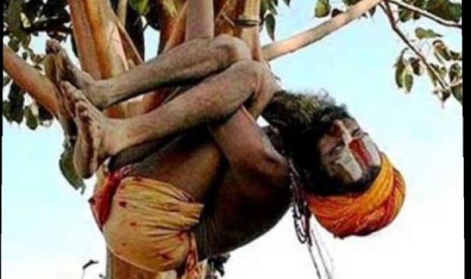رجل يعيش 9 أشهر فوق شجرة بانتظار اعتذار زوجته على خيانته