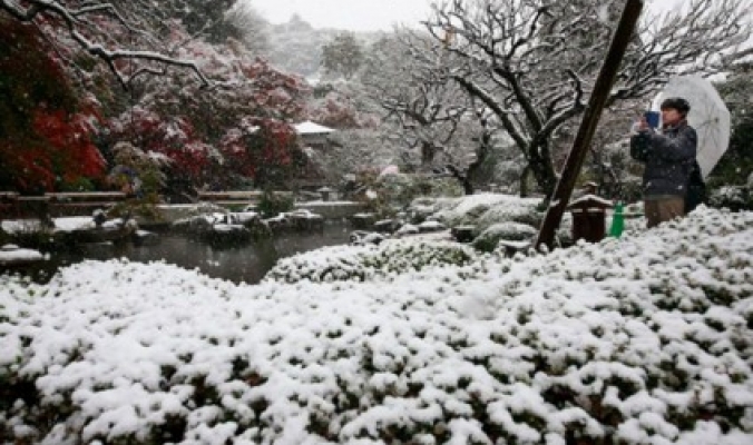 الثلوج تتساقط على طوكيو لأول مرة في نوفمبر منذ 54 عاما