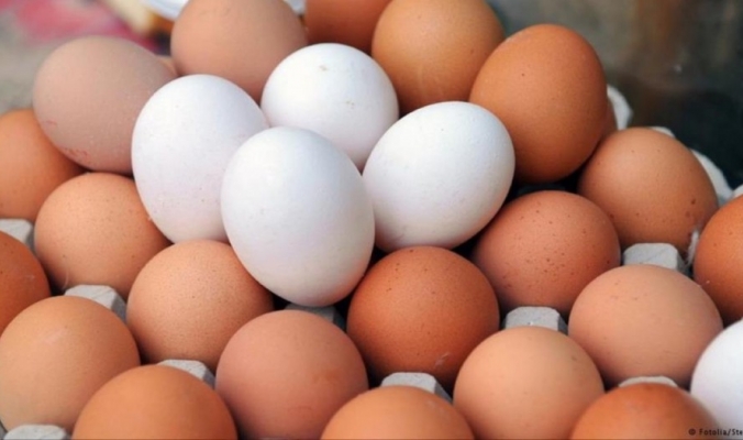 كم بيضة يجب أن تأكل في اليوم؟