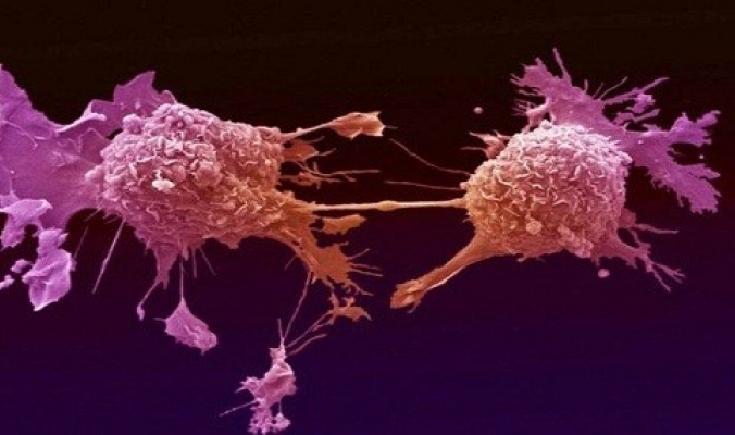 جهاز جديد يدمر الأورام السرطانية الخطيرة باستخدام الكهرباء