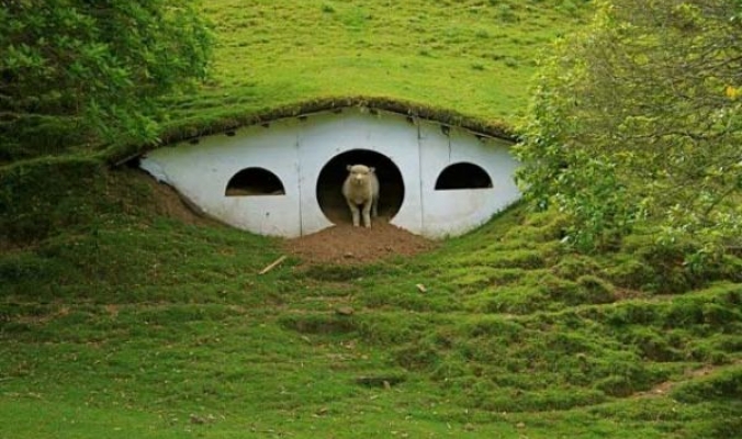 أغرب من الخيال... هكذا تعيش الخرفان في قرية lord of the Rings بنيوزيلاندا